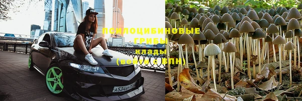 альфа пвп Богданович