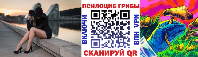 Псилоцибиновые грибы Magic Shrooms  Павловск 